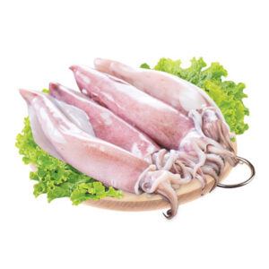 Mực ống 1kg