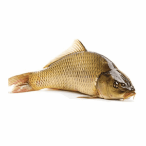 Cá chép 1kg