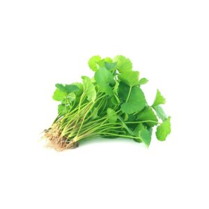 Rau má (0,5kg)